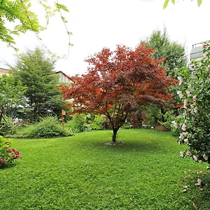 Nigler , Innsbruck Austria